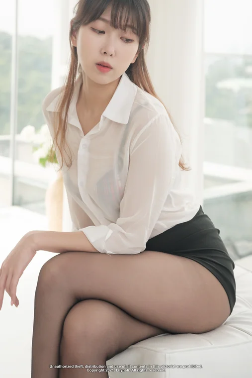 [Lilynah] Shaany Vol.03 - Looked In Office preview 3