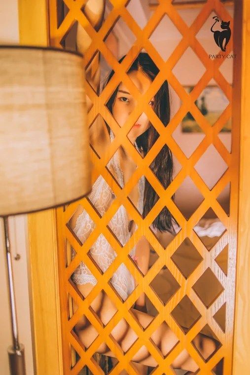 [PartyCat] Vol.034 preview 12