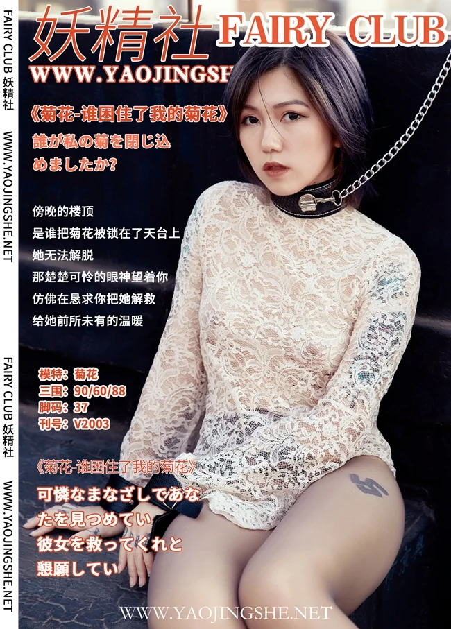 [YJS] 妖精社 Vol.008 菊花 preview 40